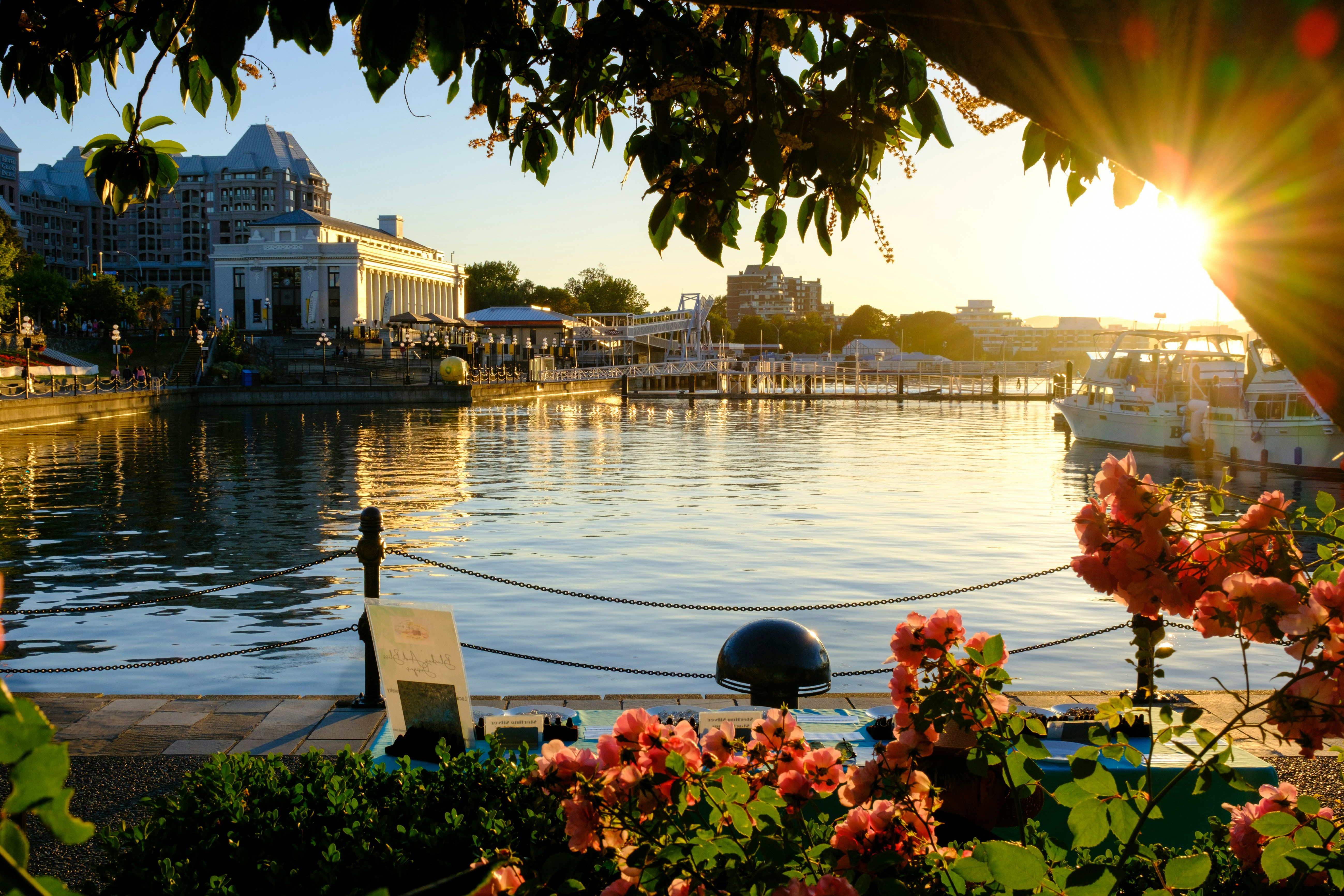Victoria British Columbia harbor