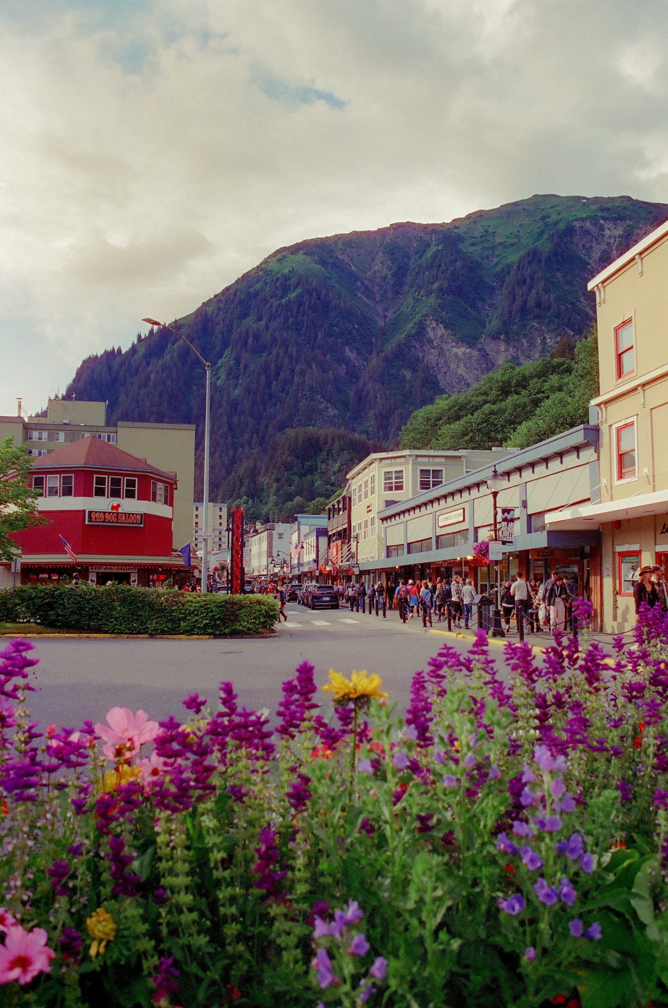 Mountain glaciers in Juneau